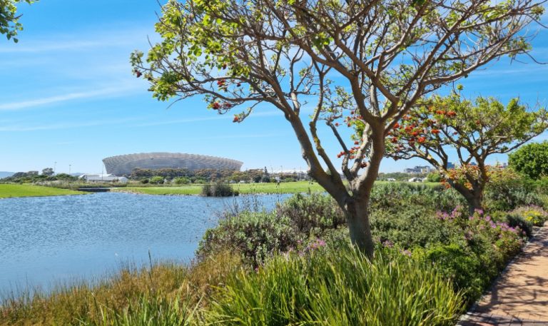 Green Point Park with the stadium in the background