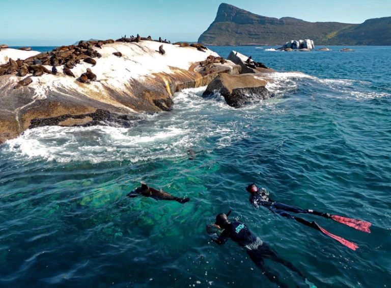 exploring Cape Town's marine life