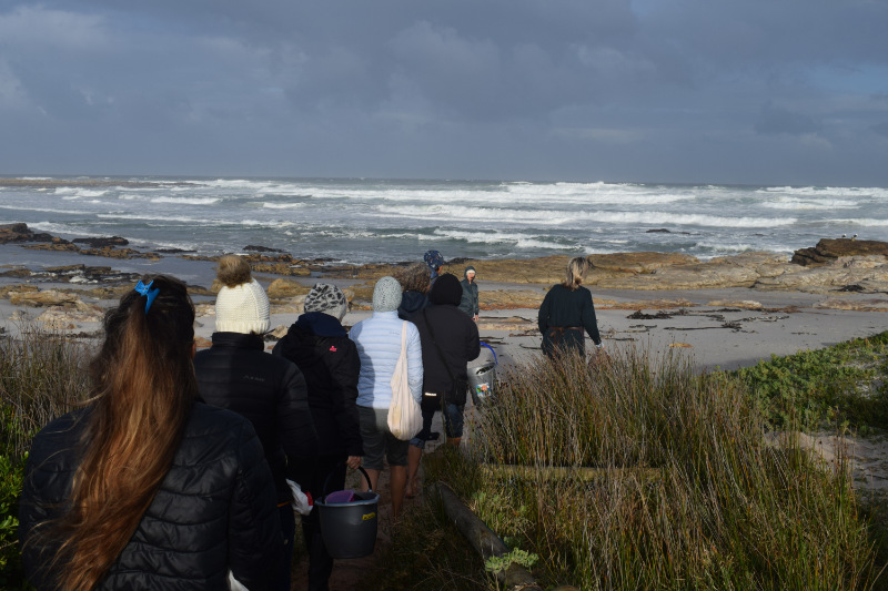 trooping down to Scarborough Beach to forage