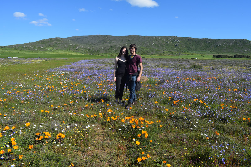 flower fields outside of Darling