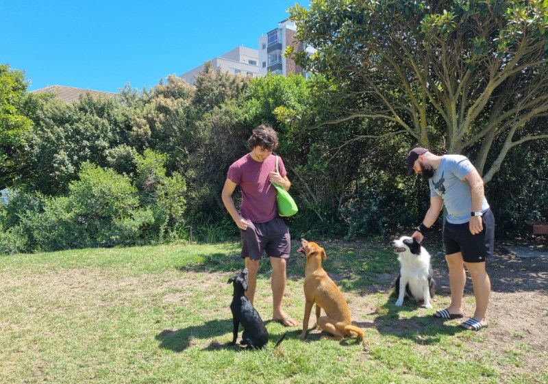 green point park dogs
