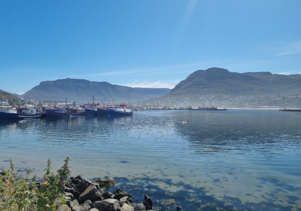 Hout Bay harbour
