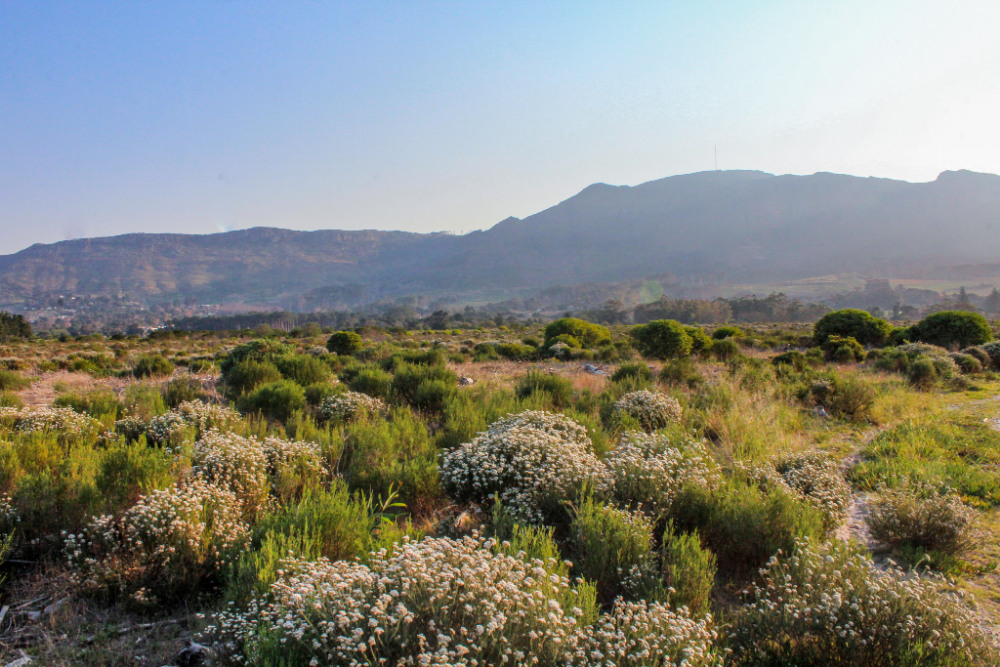 tokai park at golden hour