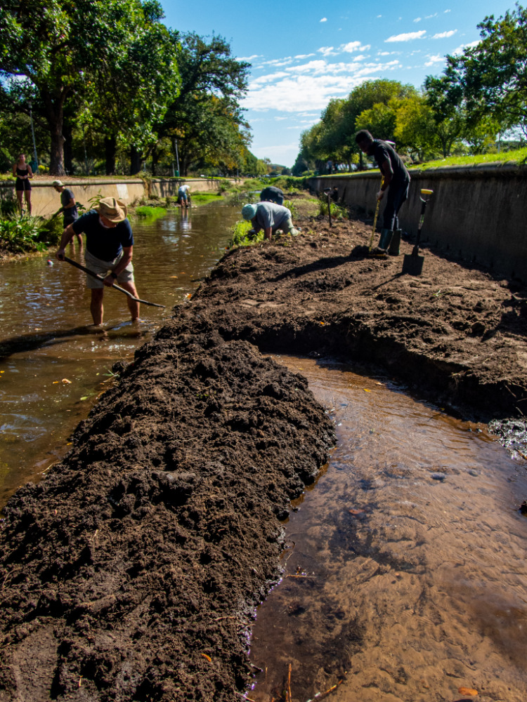 Liesbeek River cleanup
