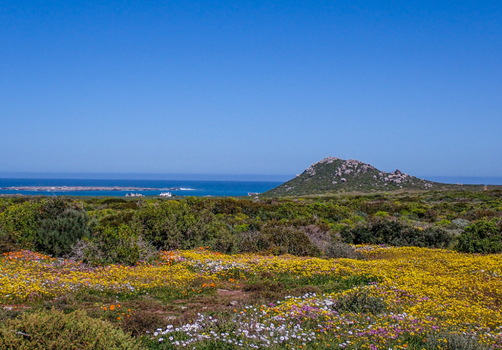 west coast national park